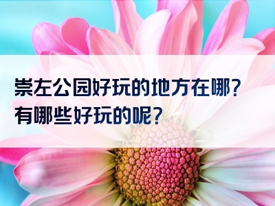 崇左公园好玩的地方在哪？有哪些好玩的呢？