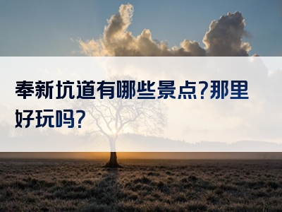 奉新坑道有哪些景点？那里好玩吗？