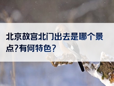 北京故宫北门出去是哪个景点？有何特色？