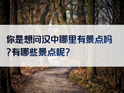你是想问汉中哪里有景点吗？有哪些景点呢？