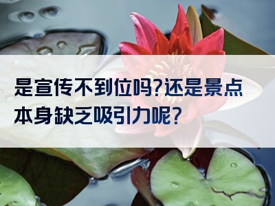 是宣传不到位吗？还是景点本身缺乏吸引力呢？