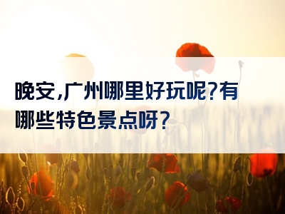 晚安，广州哪里好玩呢？有哪些特色景点呀？