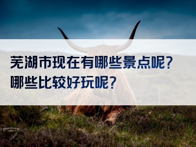 芜湖市现在有哪些景点呢？哪些比较好玩呢？