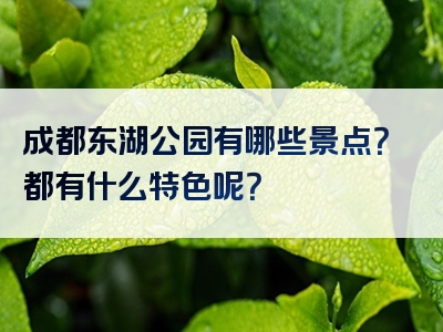 成都东湖公园有哪些景点？都有什么特色呢？