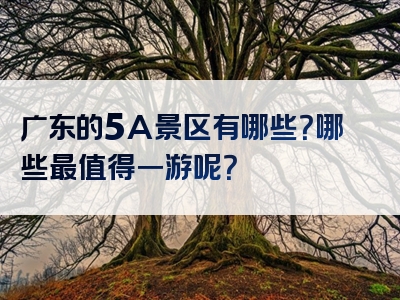 广东的5A景区有哪些？哪些最值得一游呢？