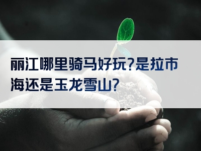 丽江哪里骑马好玩？是拉市海还是玉龙雪山？