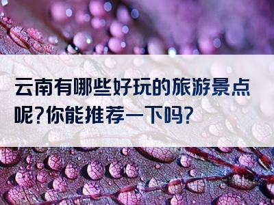 云南有哪些好玩的旅游景点呢？你能推荐一下吗？