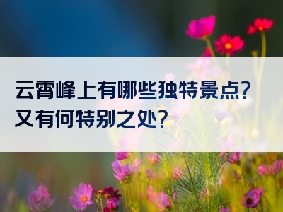 云霄峰上有哪些独特景点？又有何特别之处？
