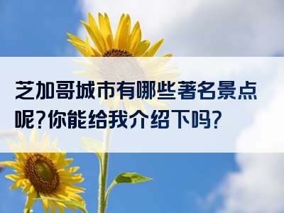 芝加哥城市有哪些著名景点呢？你能给我介绍下吗？