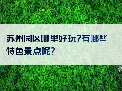 苏州园区哪里好玩？有哪些特色景点呢？