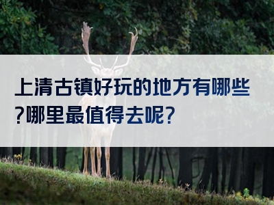 上清古镇好玩的地方有哪些？哪里最值得去呢？