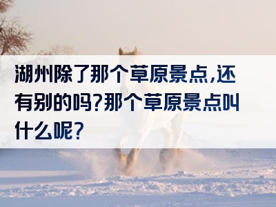 湖州除了那个草原景点，还有别的吗？那个草原景点叫什么呢？