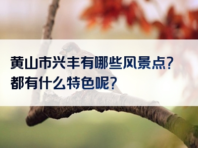 黄山市兴丰有哪些风景点？都有什么特色呢？