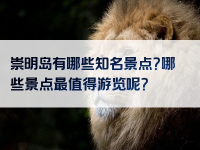 崇明岛有哪些知名景点？哪些景点最值得游览呢？