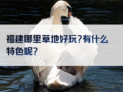 福建哪里草地好玩？有什么特色呢？