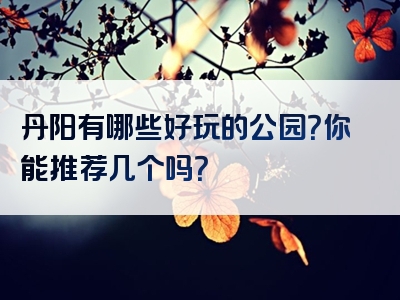 丹阳有哪些好玩的公园？你能推荐几个吗？