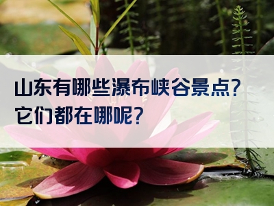 山东有哪些瀑布峡谷景点？它们都在哪呢？