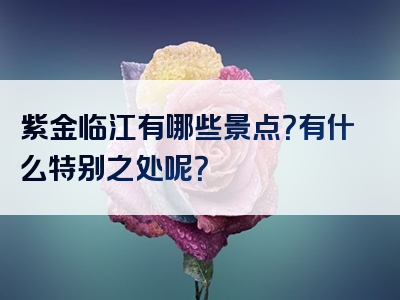 紫金临江有哪些景点？有什么特别之处呢？