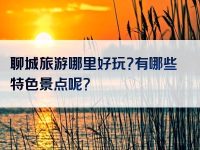 聊城旅游哪里好玩？有哪些特色景点呢？