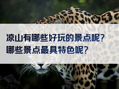 凉山有哪些好玩的景点呢？哪些景点最具特色呢？