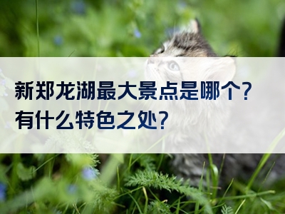 新郑龙湖最大景点是哪个？有什么特色之处？