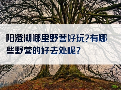 阳澄湖哪里野营好玩？有哪些野营的好去处呢？