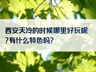 西安天冷的时候哪里好玩呢？有什么特色吗？