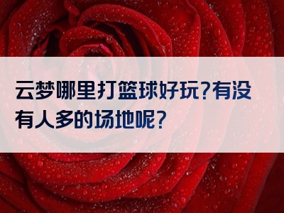云梦哪里打篮球好玩？有没有人多的场地呢？