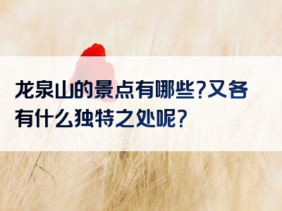 龙泉山的景点有哪些？又各有什么独特之处呢？