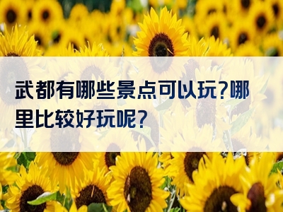 武都有哪些景点可以玩？哪里比较好玩呢？