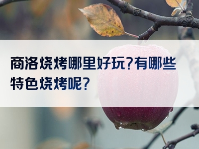 商洛烧烤哪里好玩？有哪些特色烧烤呢？
