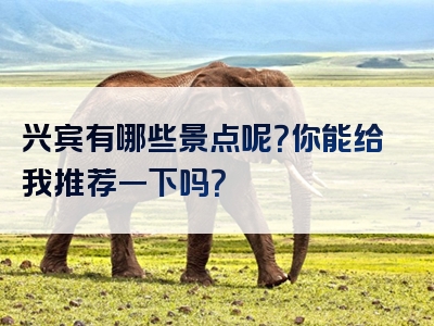 兴宾有哪些景点呢？你能给我推荐一下吗？