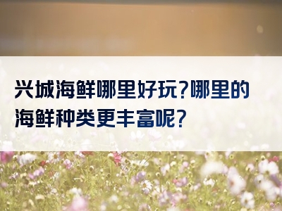 兴城海鲜哪里好玩？哪里的海鲜种类更丰富呢？