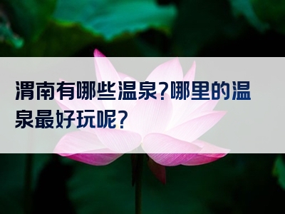渭南有哪些温泉？哪里的温泉最好玩呢？