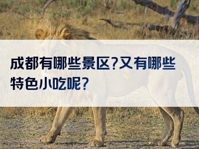 成都有哪些景区？又有哪些特色小吃呢？