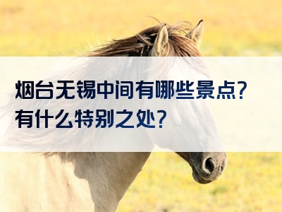 烟台无锡中间有哪些景点？有什么特别之处？
