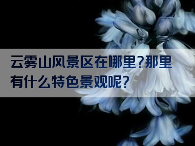 云雾山风景区在哪里？那里有什么特色景观呢？