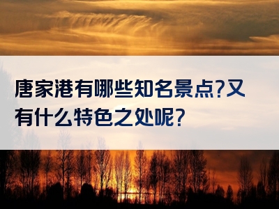 唐家港有哪些知名景点？又有什么特色之处呢？