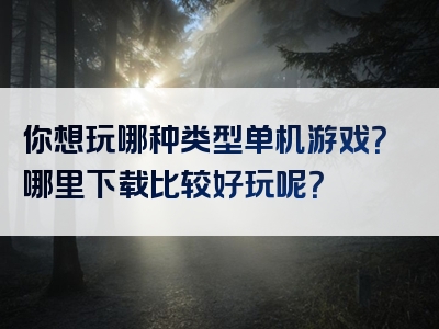 你想玩哪种类型单机游戏？哪里下载比较好玩呢？
