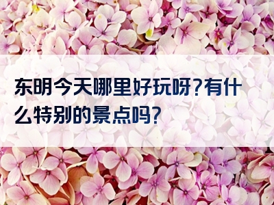 东明今天哪里好玩呀？有什么特别的景点吗？