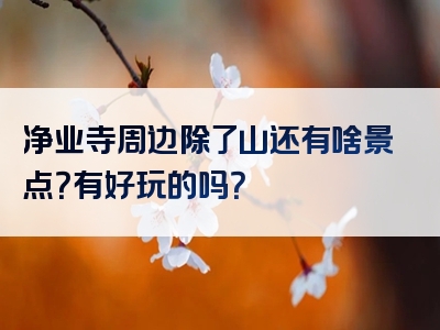 净业寺周边除了山还有啥景点？有好玩的吗？