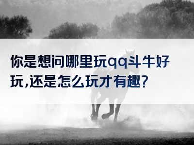 你是想问哪里玩qq斗牛好玩，还是怎么玩才有趣？