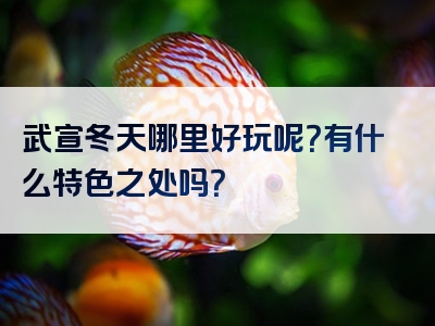 武宣冬天哪里好玩呢？有什么特色之处吗？