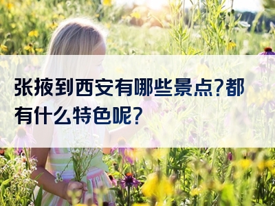 张掖到西安有哪些景点？都有什么特色呢？