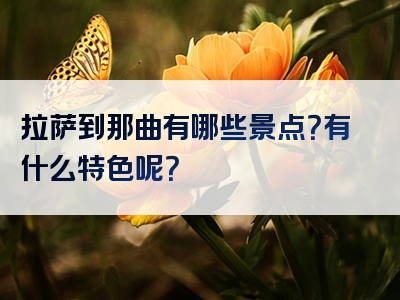 拉萨到那曲有哪些景点？有什么特色呢？