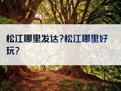 松江哪里发达？松江哪里好玩？