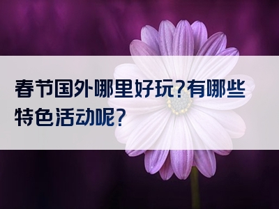 春节国外哪里好玩？有哪些特色活动呢？