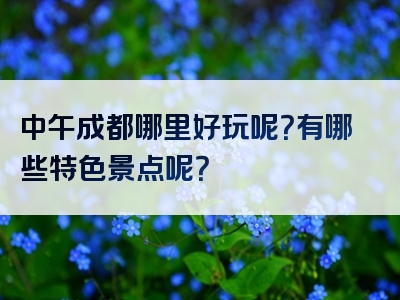 中午成都哪里好玩呢？有哪些特色景点呢？