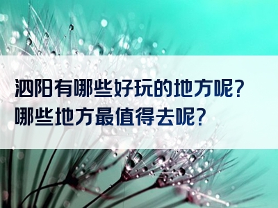 泗阳有哪些好玩的地方呢？哪些地方最值得去呢？