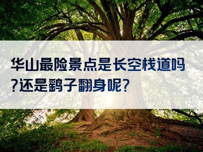 华山最险景点是长空栈道吗？还是鹞子翻身呢？